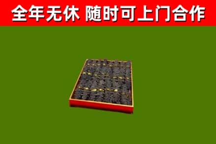 郎溪回收海参